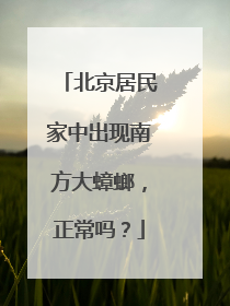 北京居民家中出现南方大蟑螂，正常吗？