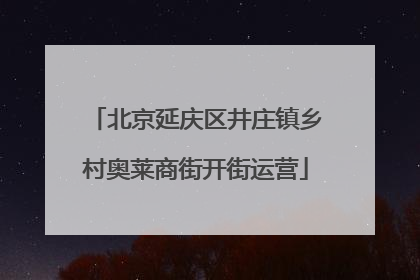 北京延庆区井庄镇乡村奥莱商街开街运营