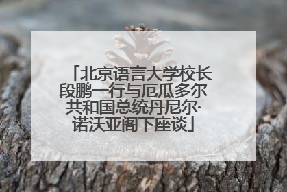 北京语言大学校长段鹏一行与厄瓜多尔共和国总统丹尼尔·诺沃亚阁下座谈