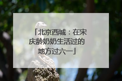北京西城：在宋庆龄奶奶生活过的地方过六一
