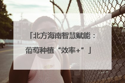 北方海南智慧赋能：葡萄种植“效率+”