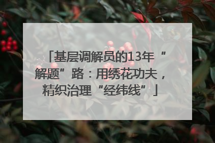 基层调解员的13年“解题”路：用绣花功夫，精织治理“经纬线”