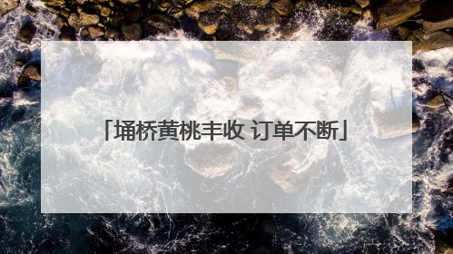 埇桥黄桃丰收 订单不断
