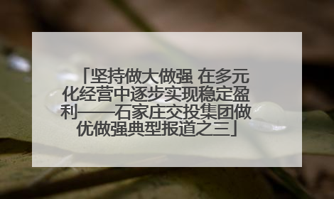 坚持做大做强 在多元化经营中逐步实现稳定盈利——石家庄交投集团做优做强典型报道之三