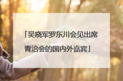 吴晓军罗东川会见出席青洽会的国内外嘉宾