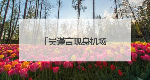 吴谨言现身机场参加产后首个活动，此前于正曾透露其本月复出