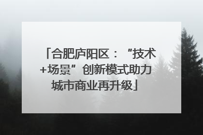 合肥庐阳区：“技术+场景”创新模式助力城市商业再升级
