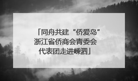 同舟共建“侨爱岛” 浙江省侨商会青委会代表团走进嵊泗