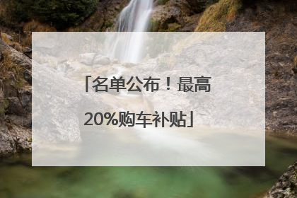 名单公布！最高20%购车补贴