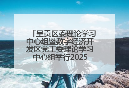 呈贡区委理论学习中心组暨数字经济开发区党工委理论学习中心组举行2025年第七次学习会议