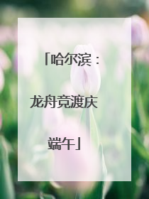 哈尔滨：龙舟竞渡庆端午