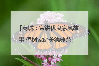 商城：宣讲优良家风故事 倡树家庭美德典范