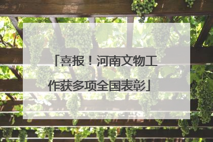 喜报！河南文物工作获多项全国表彰