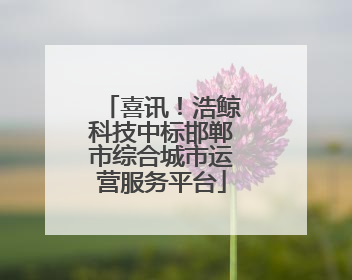 喜讯！浩鲸科技中标邯郸市综合城市运营服务平台