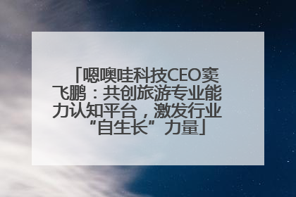 嗯噢哇科技CEO窦飞鹏：共创旅游专业能力认知平台，激发行业“自生长”力量