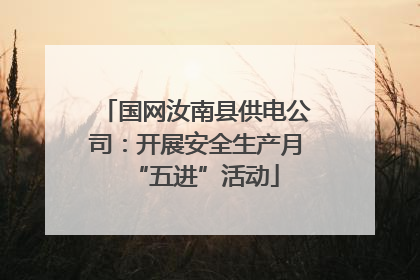 国网汝南县供电公司：开展安全生产月“五进”活动