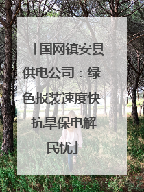 国网镇安县供电公司：绿色报装速度快 抗旱保电解民忧