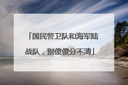 国民警卫队和海军陆战队，别傻傻分不清