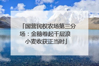 国营民权农场第三分场：金穗卷起千层浪 小麦收获正当时