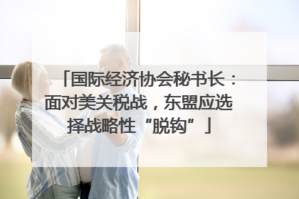 国际经济协会秘书长：面对美关税战，东盟应选择战略性“脱钩”