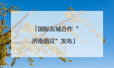 国际友城合作“济南倡议”发布