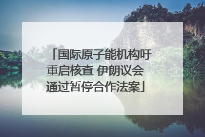 国际原子能机构吁重启核查 伊朗议会通过暂停合作法案