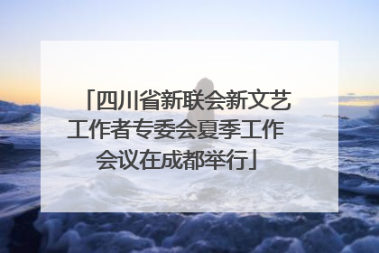 四川省新联会新文艺工作者专委会夏季工作会议在成都举行
