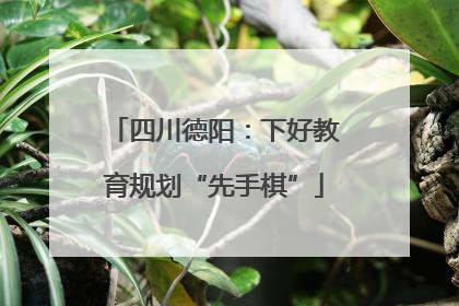四川德阳：下好教育规划“先手棋”