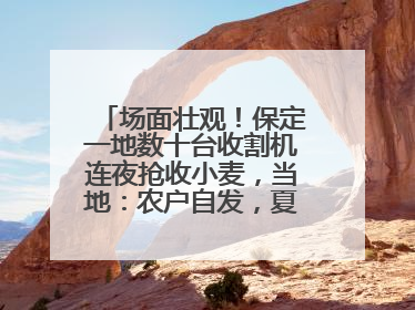 场面壮观！保定一地数十台收割机连夜抢收小麦，当地：农户自发，夏收工作基本完成