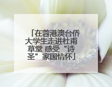 在蓉港澳台侨大学生走进杜甫草堂 感受“诗圣”家国情怀
