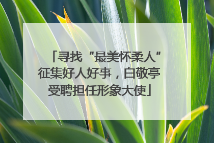 寻找“最美怀柔人”征集好人好事，白敬亭受聘担任形象大使