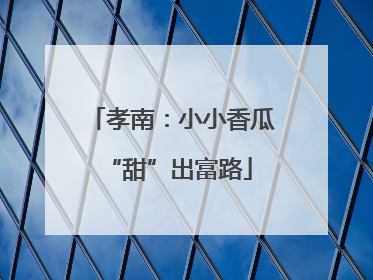 孝南：小小香瓜 “甜”出富路