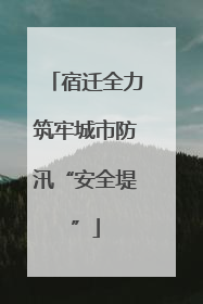 宿迁全力筑牢城市防汛“安全堤”