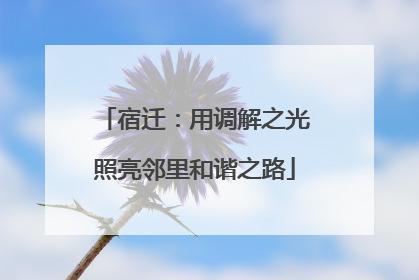 宿迁：用调解之光照亮邻里和谐之路
