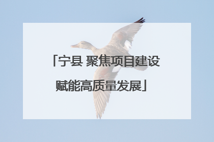 宁县 聚焦项目建设 赋能高质量发展