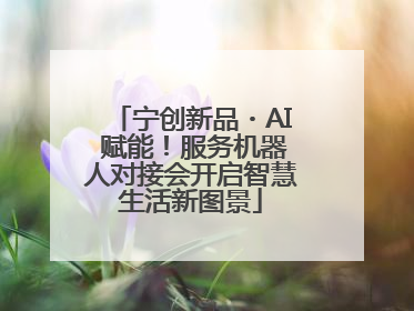 宁创新品・AI 赋能！服务机器人对接会开启智慧生活新图景