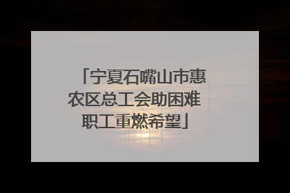 宁夏石嘴山市惠农区总工会助困难职工重燃希望