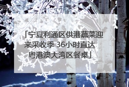 宁夏利通区供港蔬菜迎来采收季 36小时直达粤港澳大湾区餐桌