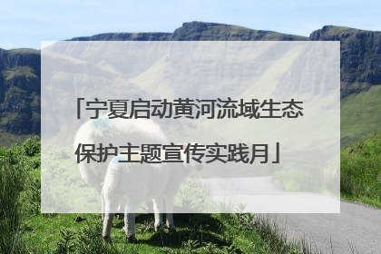 宁夏启动黄河流域生态保护主题宣传实践月