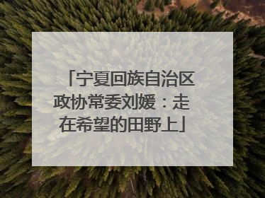 宁夏回族自治区政协常委刘媛：走在希望的田野上