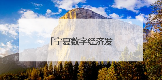 宁夏数字经济发展跑出加速度