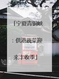 宁夏青铜峡：供港蔬菜迎来丰收季