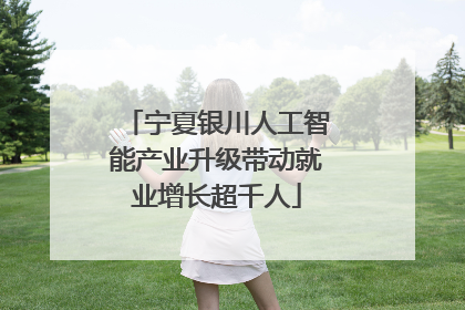 宁夏银川人工智能产业升级带动就业增长超千人