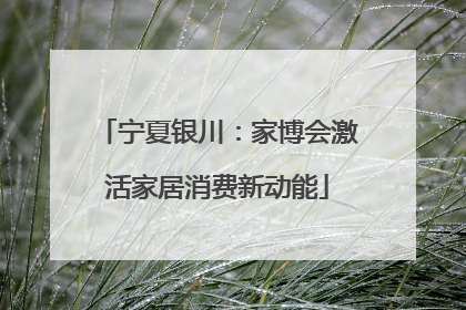 宁夏银川：家博会激活家居消费新动能