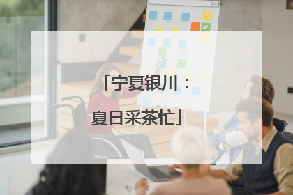 宁夏银川：夏日采茶忙