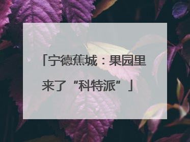 宁德蕉城：果园里来了“科特派”