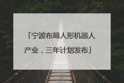 宁波布局人形机器人产业，三年计划发布