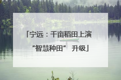 宁远：千亩稻田上演 “智慧种田” 升级