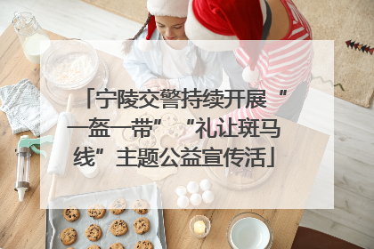 宁陵交警持续开展“一盔一带”“礼让斑马线”主题公益宣传活