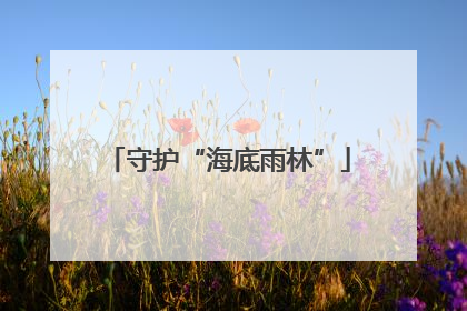 守护“海底雨林”